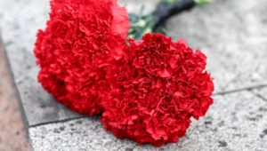 Ушел из жизни легендарный японский актер Тацуя Накадаи