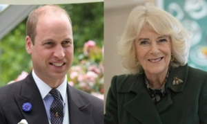 Принц Уильям конфликтует с королевой Камиллой из-за чрезмерной загруженности отца Принц Уильям конфликтует с королевой Камиллой из-за чрезмерной загруженности отца