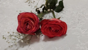 Скончался участник ансамбля «Песняры» Георгий Портной