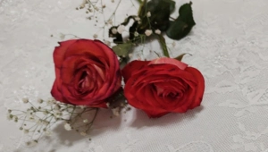 Скончался участник ансамбля «Песняры» Георгий Портной