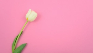 День матери в России: поздравляем звездных мам!