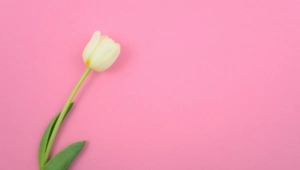 День матери в России: поздравляем звездных мам!