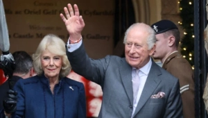 Королева Камилла вызвала критику общества из-за оценочного комментария