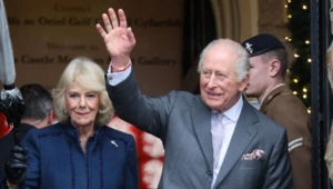 Королева Камилла вызвала критику общества из-за оценочного комментария Королева Камилла вызвала критику общества из-за оценочного комментария