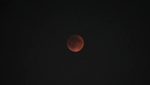 Редкое затмение 29 марта 2026 года: во сколько начнется и чем оно особенное Редкое затмение 29 марта 2026 года: во сколько начнется и чем оно особенное