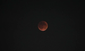 Редкое затмение 29 марта 2026 года: во сколько начнется и чем оно особенное