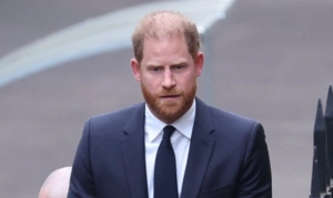 Принц Гарри переписывался с журналисткой, не зная ее род деятельности