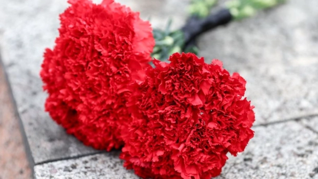 Умер звезда «Одиннадцати друзей Оушена» Майкл ДеЛано