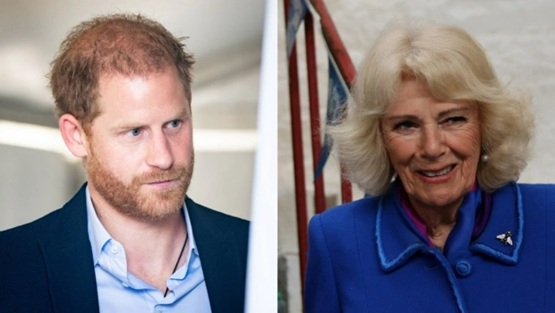 СМИ: Принц Гарри объявил «войну» Камилле и может не помириться с Карлом III