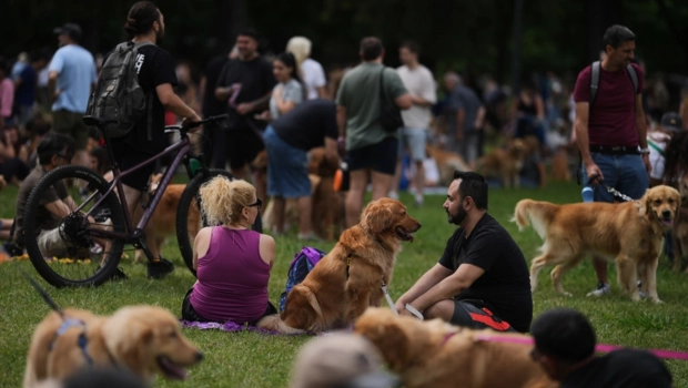 В Буэнос-Айресе установлен умилительный рекорд: парк посетили 2397 золотистых ретриверов