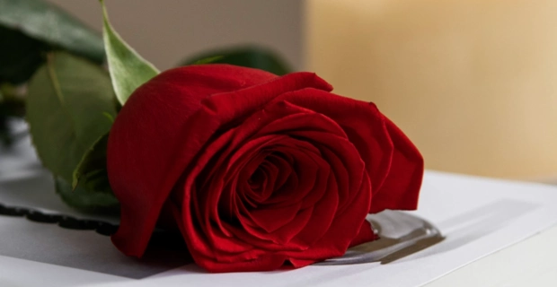 Скончался Билли Стейнберг — автор хитов t.A.T.u., Мадонны и Уитни Хьюстон