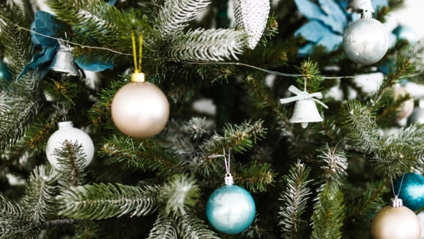 Как встретить 2026 год огненной лошади