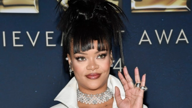 Полиция задержала женщину, стрелявшую в дом Рианны