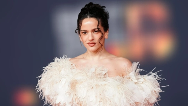 Розалия вышла на связь с поклонниками после прерванного концерта в Милане