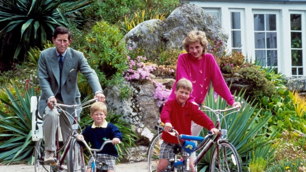 Daily Mail: Принцесса Диана хотела, чтобы королем стал Гарри