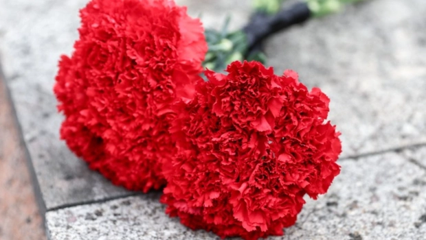 Актер Дмитрий Марфин скоропостижно скончался в Москве