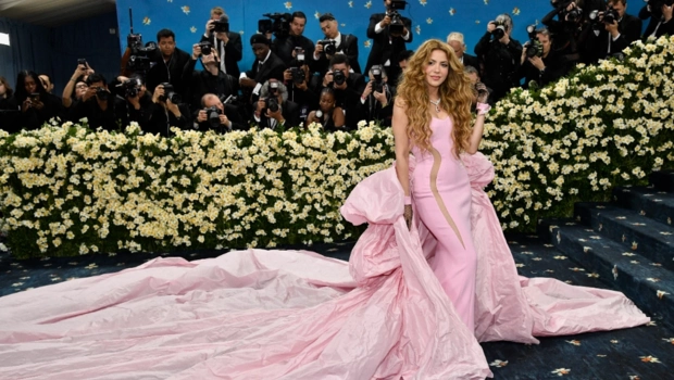 Деми Мур, Рианна и Памела Андерсон: главные наряды Met Gala 2025