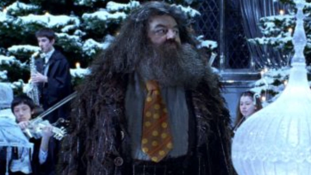 Без волшебства не обошлось: Ник Фрост рассказал, как получил роль Хагрида в новом «Гарри Поттере»