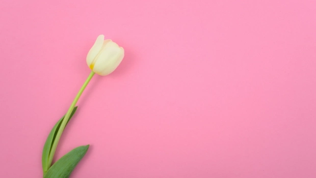 День матери в России: поздравляем звездных мам! День матери в России: поздравляем звездных мам!