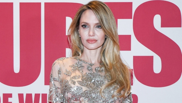 Анджелина Джоли подогрела слухи о романе, появившись на премьере фильма с Луи Гаррелем