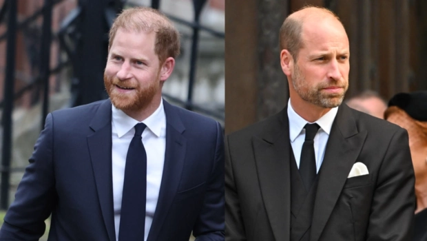 Принц Гарри пытался помириться с принцем Уильямом через посредника Принц Гарри пытался помириться с принцем Уильямом через посредника