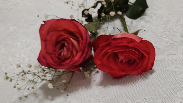 Скончался участник ансамбля «Песняры» Георгий Портной