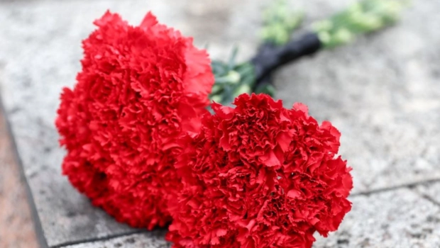 Создатель игр Call of Duty и Battlefield Винс Зампелла погиб в автокатастрофе