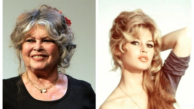 Брижит Бардо вышла на связь после слухов о своей смерти Брижит Бардо вышла на связь после слухов о своей смерти