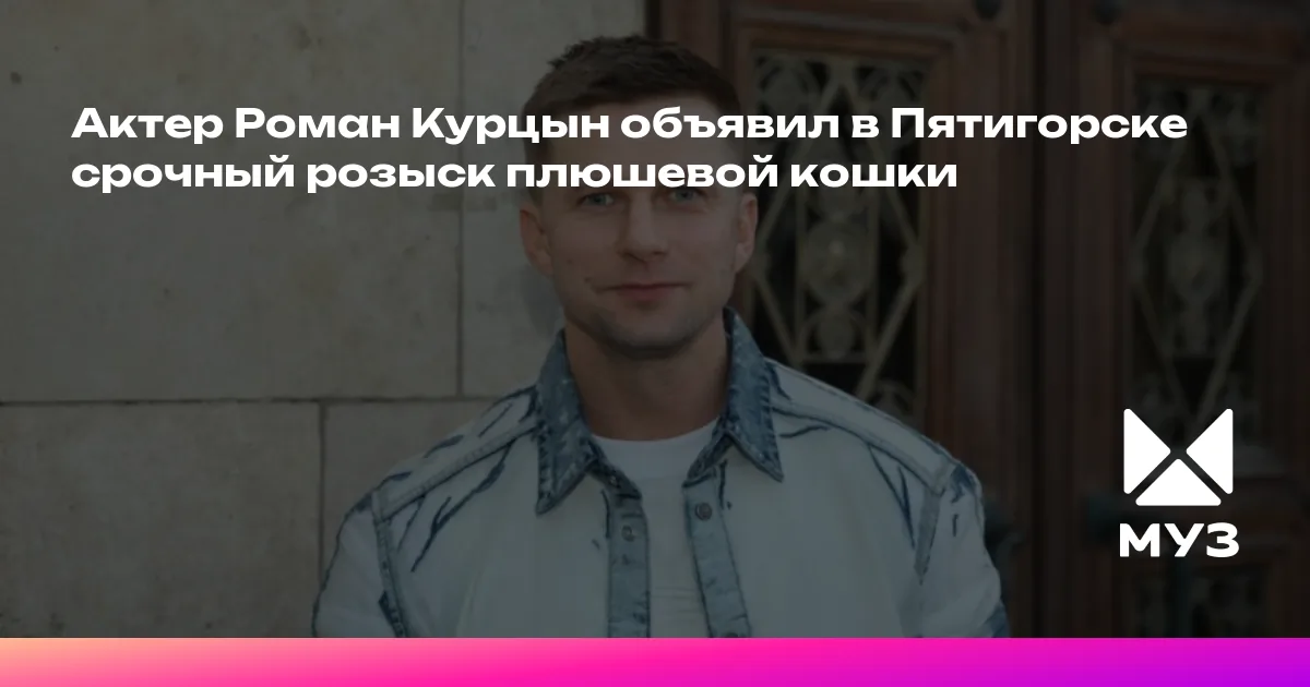 Актер Роман Курцын объявил в Пятигорске срочный розыск плюшевой кошки