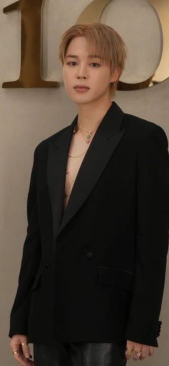 Знаменитый пластический хирург назвал Чимина из BTS «воплощением естественной красоты»