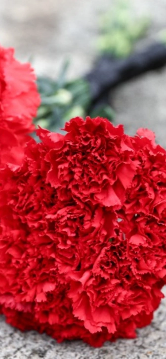 Ушел из жизни легендарный японский актер Тацуя Накадаи