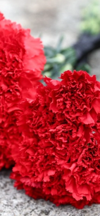 Ушел из жизни итальянский певец и актер Сандро Джакоббе Ушел из жизни итальянский певец и актер Сандро Джакоббе