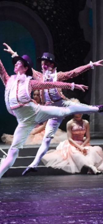 Четыре билета на «Щелкунчика» ушли с молотка за 510 тысяч рублей Четыре билета на «Щелкунчика» ушли с молотка за 510 тысяч рублей