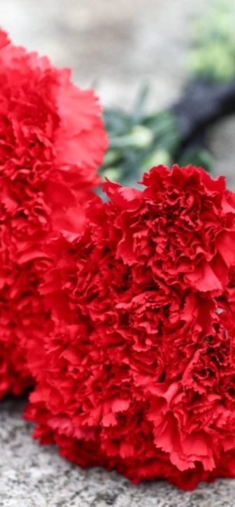 Скончался актер фильмов «Сталинград» и «Петербургские тайны» Олег Урюмцев Скончался актер фильмов «Сталинград» и «Петербургские тайны» Олег Урюмцев