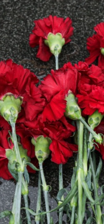 Актер Александр Зиновьев скончался