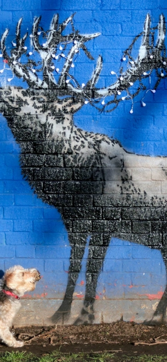 Раскрыто имя знаменитого уличного художника Бэнкси