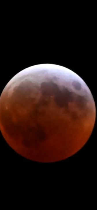 Гороскоп на ноябрь: у Дев ожидается романтический месяц Гороскоп на ноябрь: у Дев ожидается романтический месяц