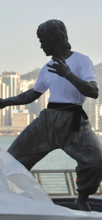 Фильм о Брюсе Ли от Энга Ли заморозили из-за сложностей