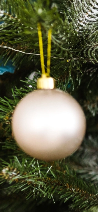 Как встретить 2026 год огненной лошади