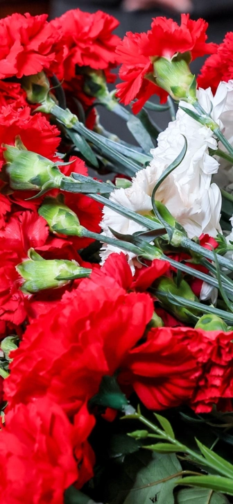 Скончался звезда фильмов «Назад в будущее» и «Топ Ган» Джеймс Толкан Скончался звезда фильмов «Назад в будущее» и «Топ Ган» Джеймс Толкан