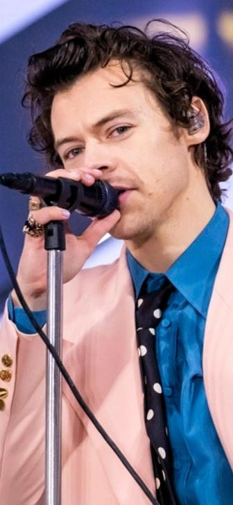 Гарри Стайлс намерен перечислить часть доходов от будущего тура на благотворительность